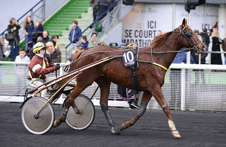 Actualités Hippiques